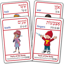 Load image into Gallery viewer, Parts of the Body C210H