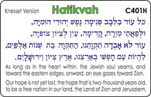 Load image into Gallery viewer, Hatikvah C401H